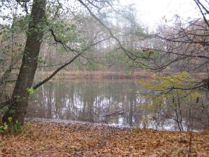 Winterlauf Bramfeld 027